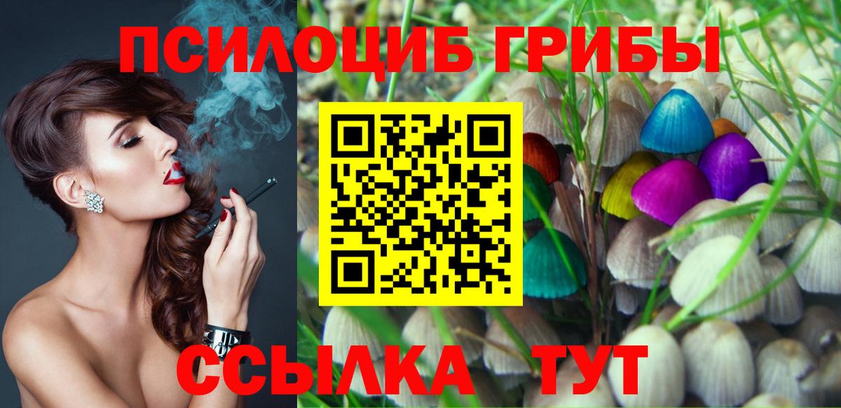 Псилоцибиновые грибы Magic Shrooms Вышний Волочёк